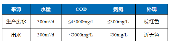 江苏某农化300吨/天杂环废水治理