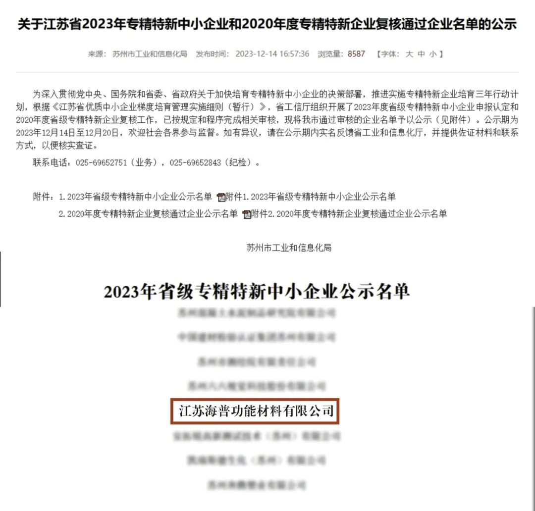 喜报！新澳门资料网获评江苏省“专精特新”企业称号