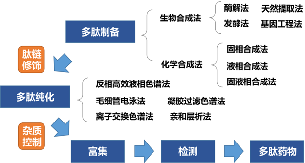 GLP-1药物固相合成法-载体树脂及层析填料