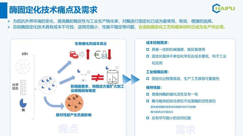 L-核糖异构酶固定化载体