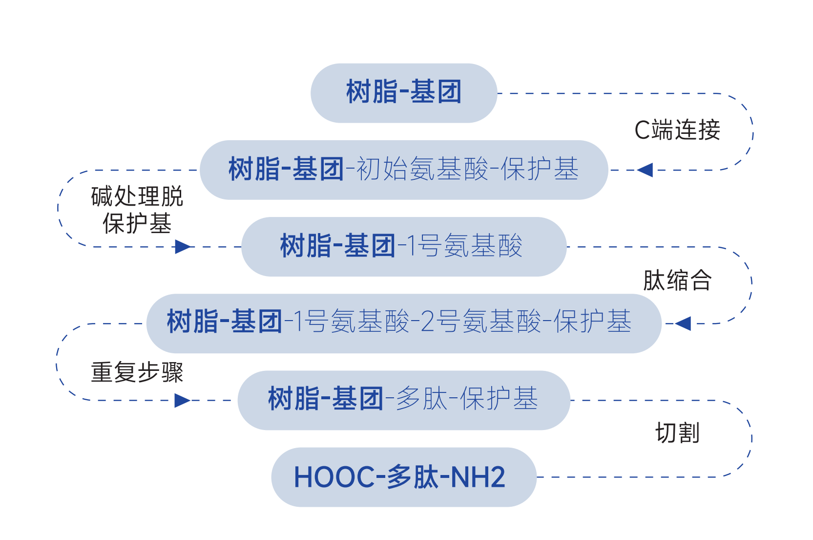 新澳门资料网纯化产品-多肽固相合成载体